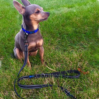 Reflective Nylon Dog Leash - We Donate a Leash to a Dog Rescue for Every Leash Sold