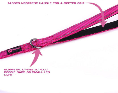 Reflective Nylon Dog Leash - We Donate a Leash to a Dog Rescue for Every Leash Sold