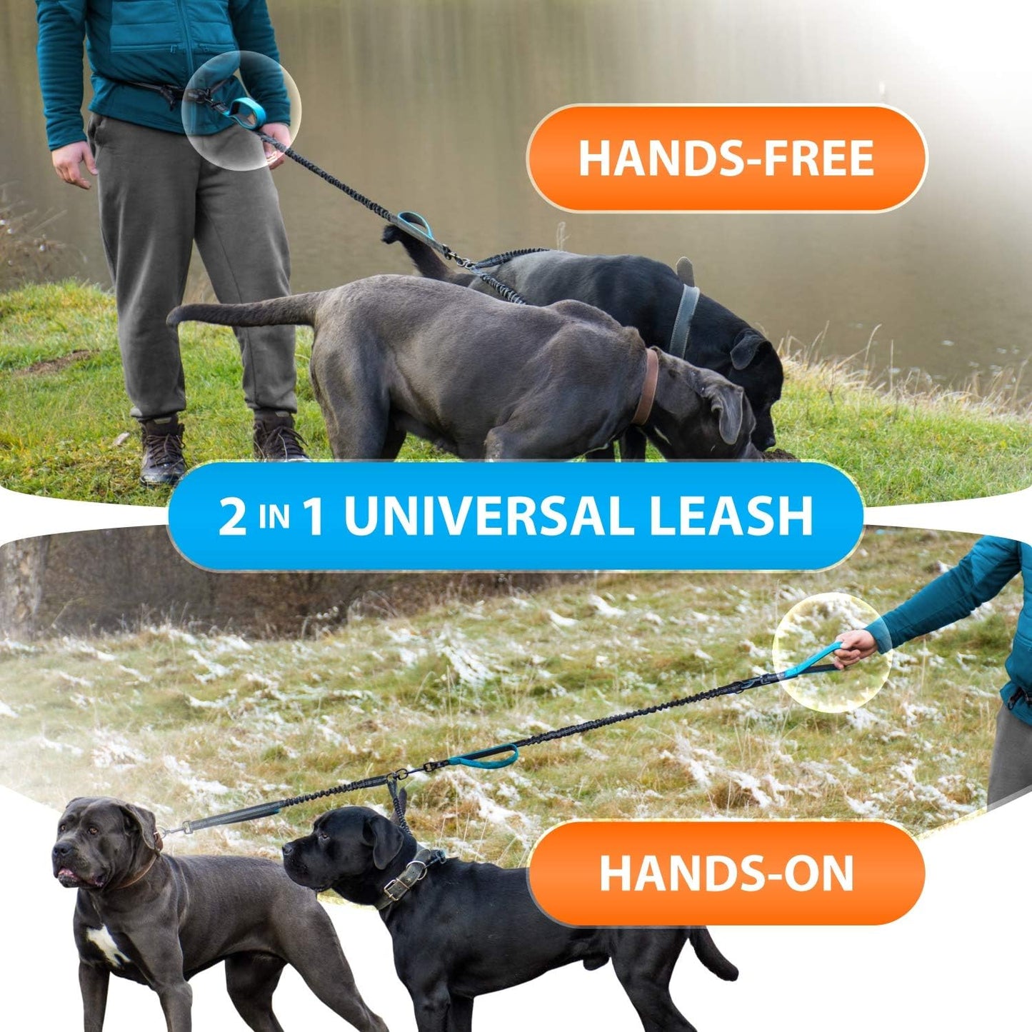 Hands-Free Dog Leash for Medium and Large Dogs – Professional Harness with Reflective Stitches for Training, Walking, Jogging and Running Your Pet