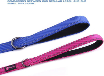 Reflective Nylon Dog Leash - We Donate a Leash to a Dog Rescue for Every Leash Sold