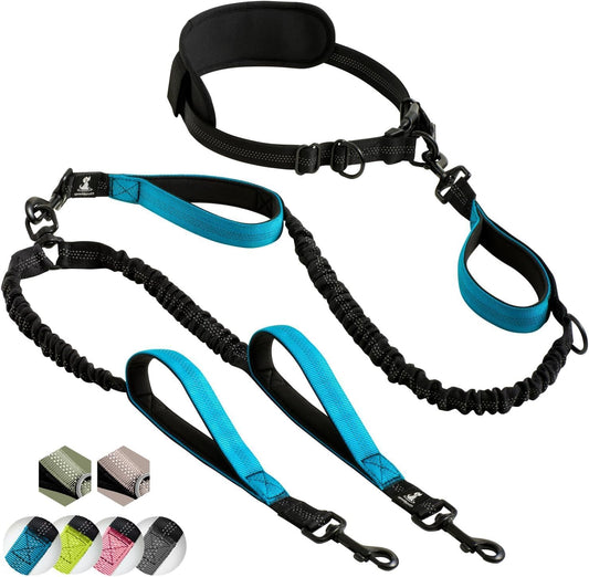 Hands-Free Dog Leash for Medium and Large Dogs – Professional Harness with Reflective Stitches for Training, Walking, Jogging and Running Your Pet